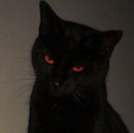 black cat with red eyes